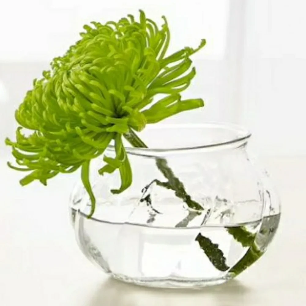 IKEA Viljestark Vase & IKEA Behjartad Potpurri